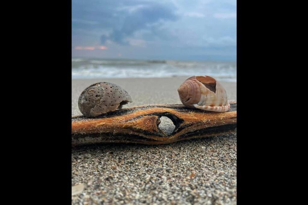 Cocoa, Beach House 외부 사진