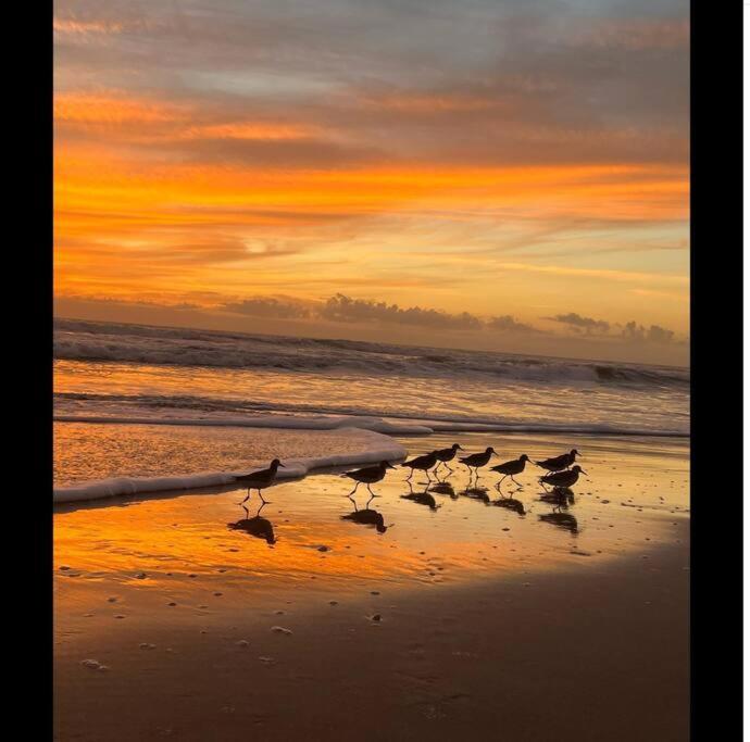Cocoa, Beach House 외부 사진